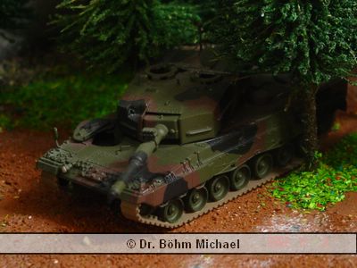 Leopard 04.jpg
