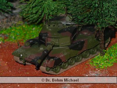 Leopard 06.jpg