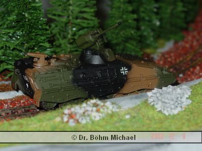 Marder 02.jpg