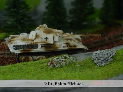 Panther 01.jpg