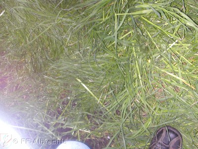 DSCN0678.JPG
