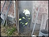 DSCN0660.JPG