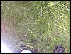 DSCN0678.JPG